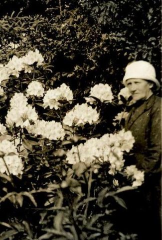 thomine-ved-den-store-rododendron-a