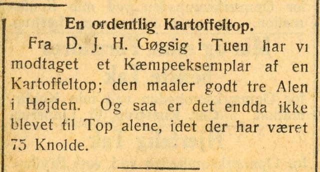 Kartoffeltop
