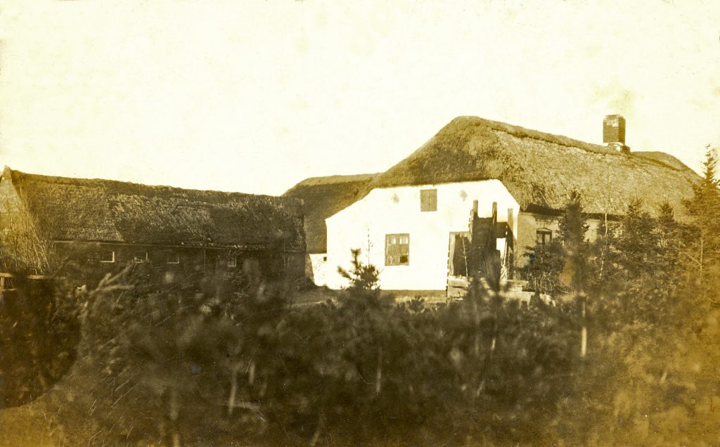 lille-goegsig-jpg-www